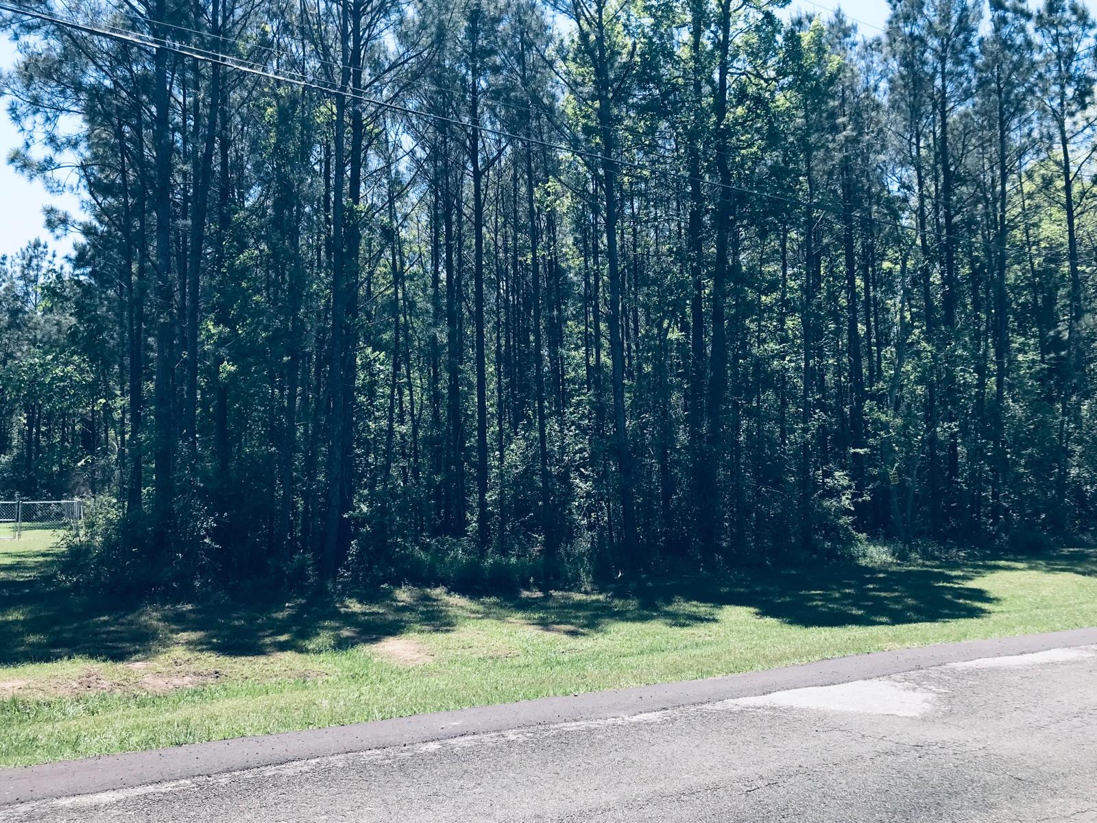 785 Forest Springs, Livingston